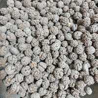 نخود شکلاتی(کاکائو) 300گرمی