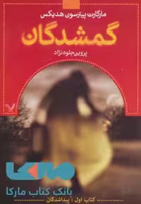 گمشدگان (کتاب اول پیدا شدگان) نشر تندیس