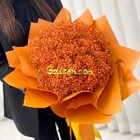 گل عروس نارنجی