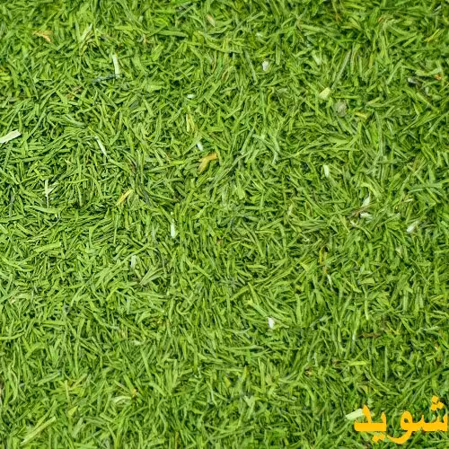 شوید خشک 200گرمی درجه یک ناب