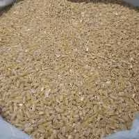 گندم حلیم  درجه یک 1000گرمی