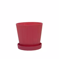 گلدان پلاستیکی مارانتا سایز دو با زیرگلدانی