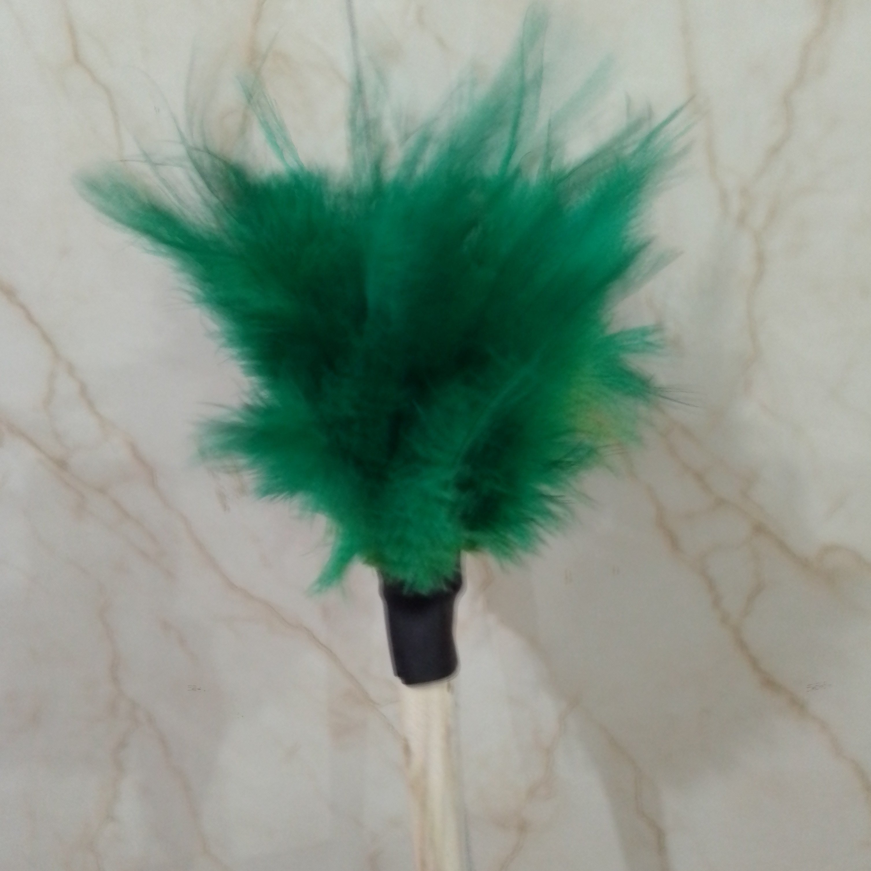 گردگیر پر شتر مرغ