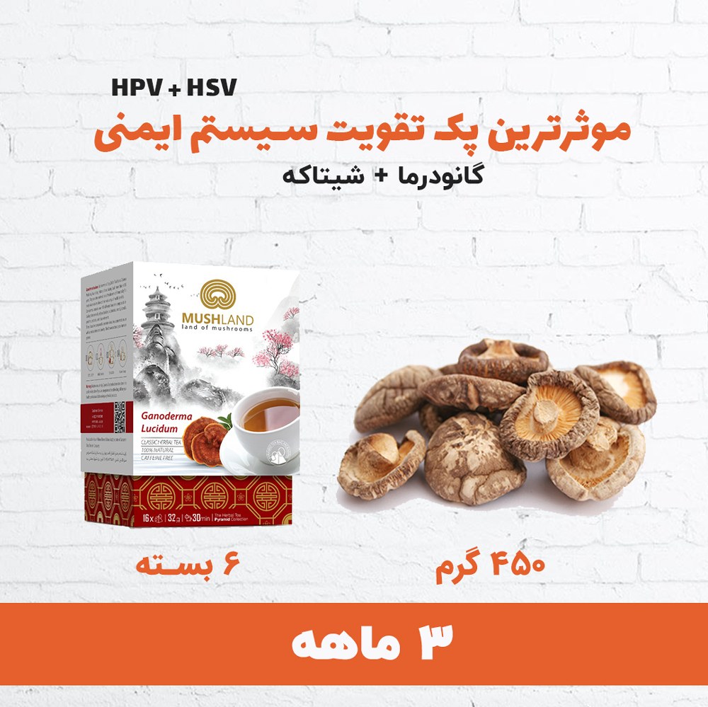 پک 3 ماه hpv (قارچ شیتاکه-قارچ گانودرما)