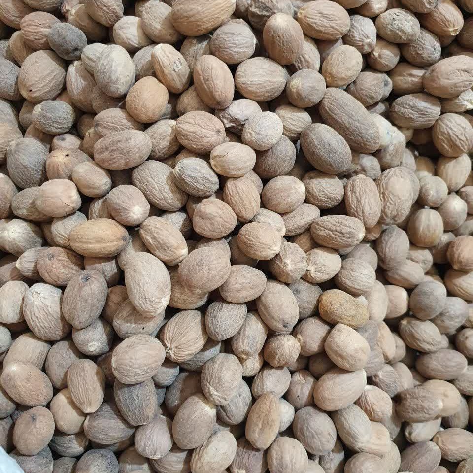 جوز هندی 100 گرم