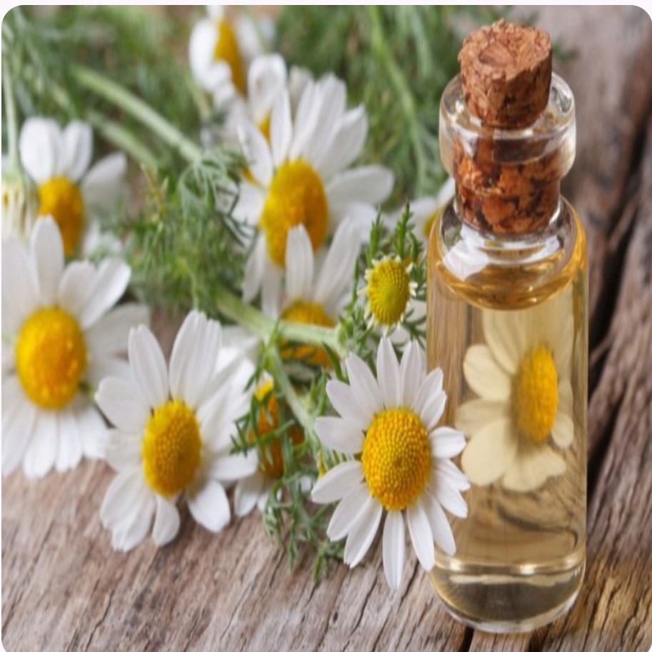 عرق بابونه شیرازی
