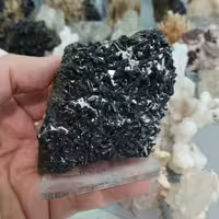 اپیدوت کلکسیونی قد 8سانتیمتر پهنا 8سانتیمتر پشت طلایی کد192