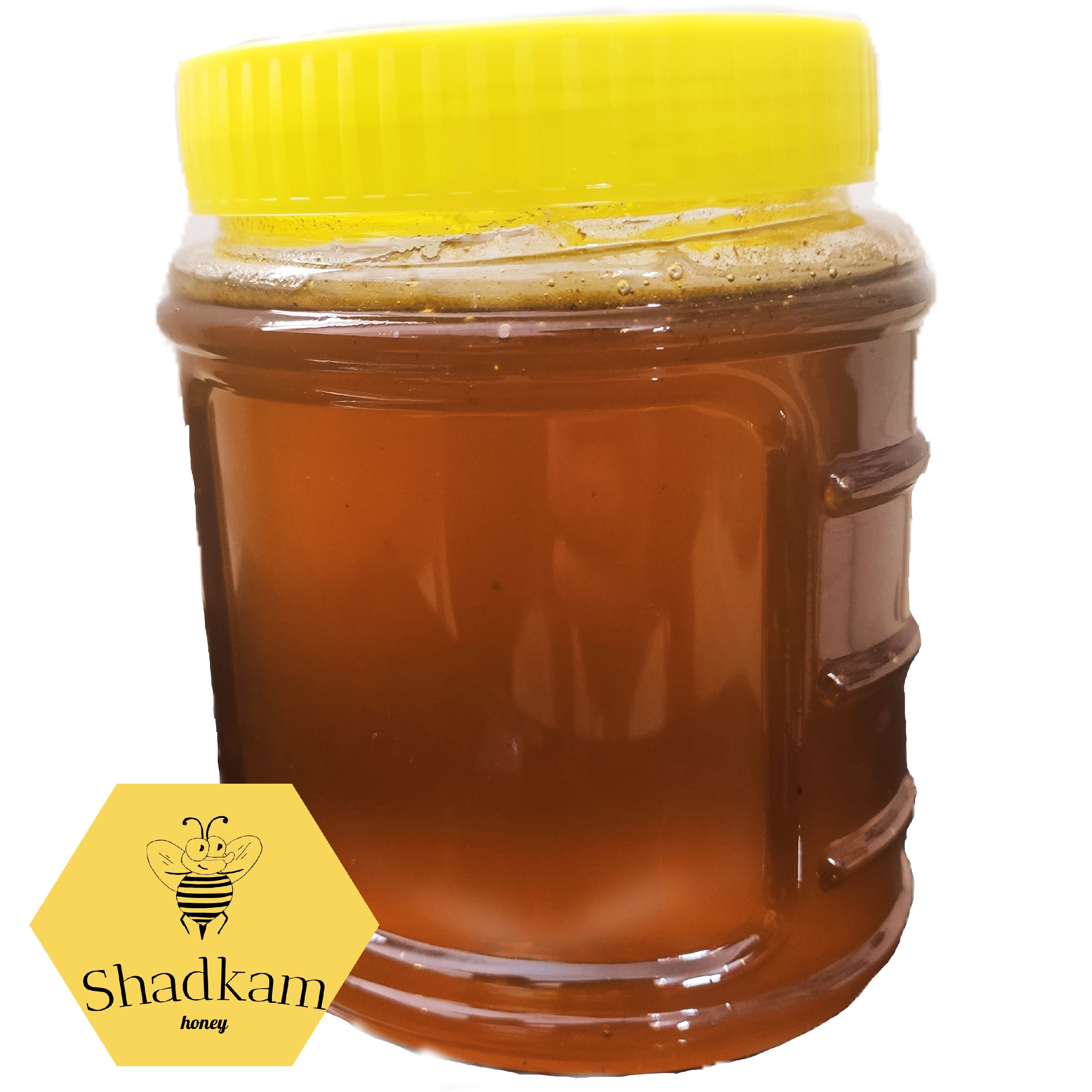 عسل وحشی لرستان
