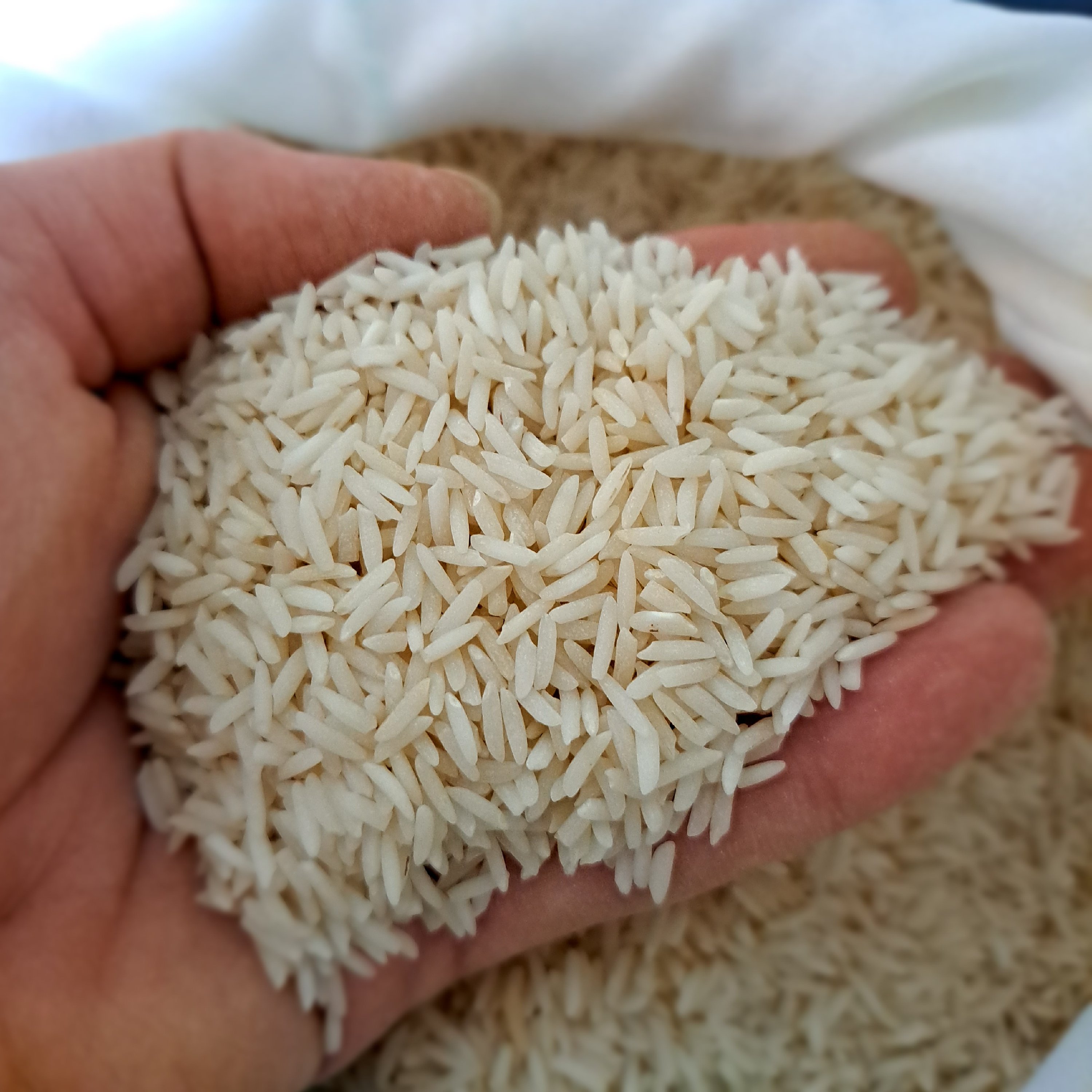 برنج هاشمی درجه 1 یک کیلویی