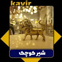 شیر کوچک کد 205