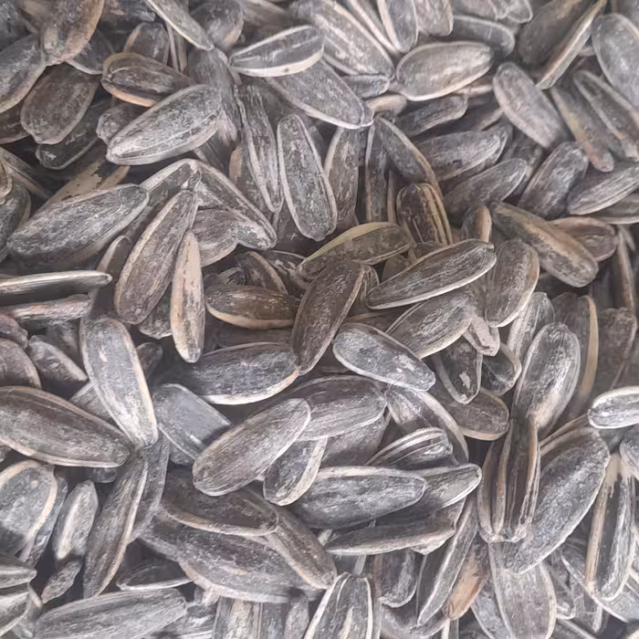 تخمه آفتابگردان اعلا پودری 1000 گرمی 