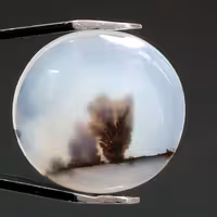 نگین شجر قائن اصل بسیار زیبا با منظره درختان و صحرا 