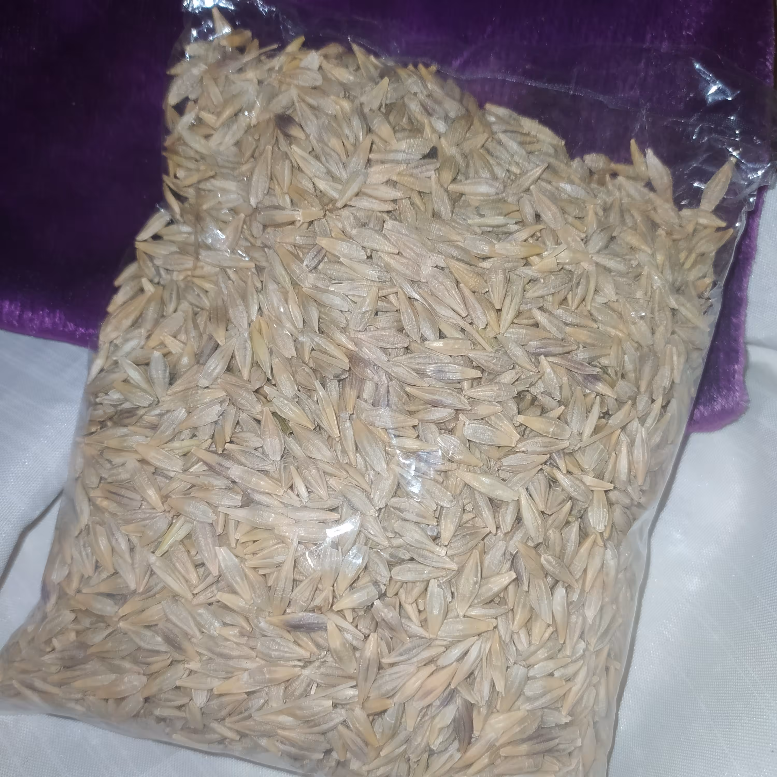 بذر جو جهت کاشت سبزه عید