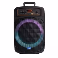 اسپیکر قابل حمل مدل ND-W98 میکروفون دار