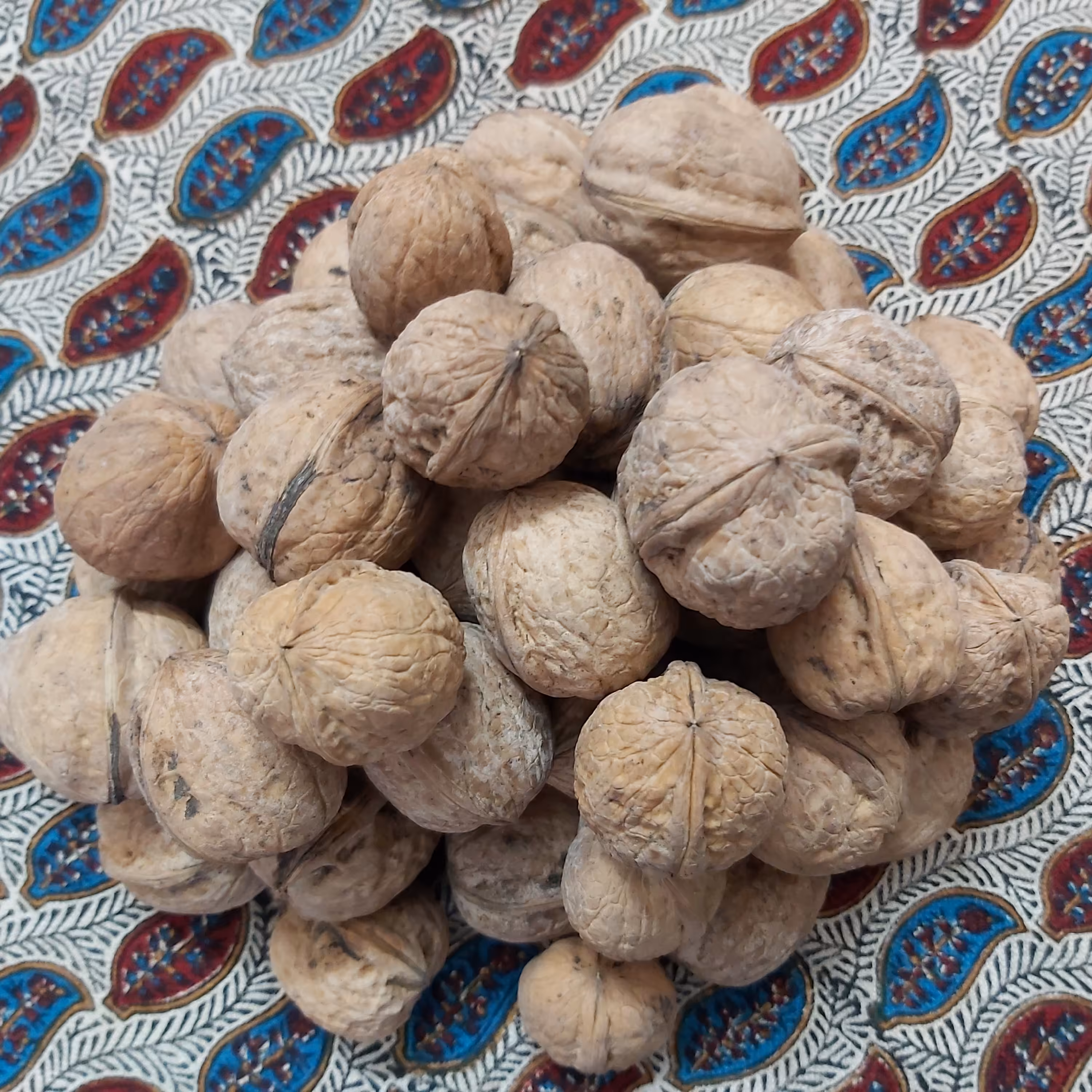 گردو ارگانیک یک کیلوگرم