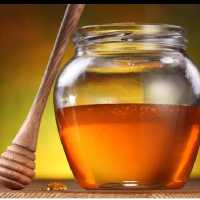عسل ارگانیک گون گز 500 گرمی گیاهینو ارسال رایگان