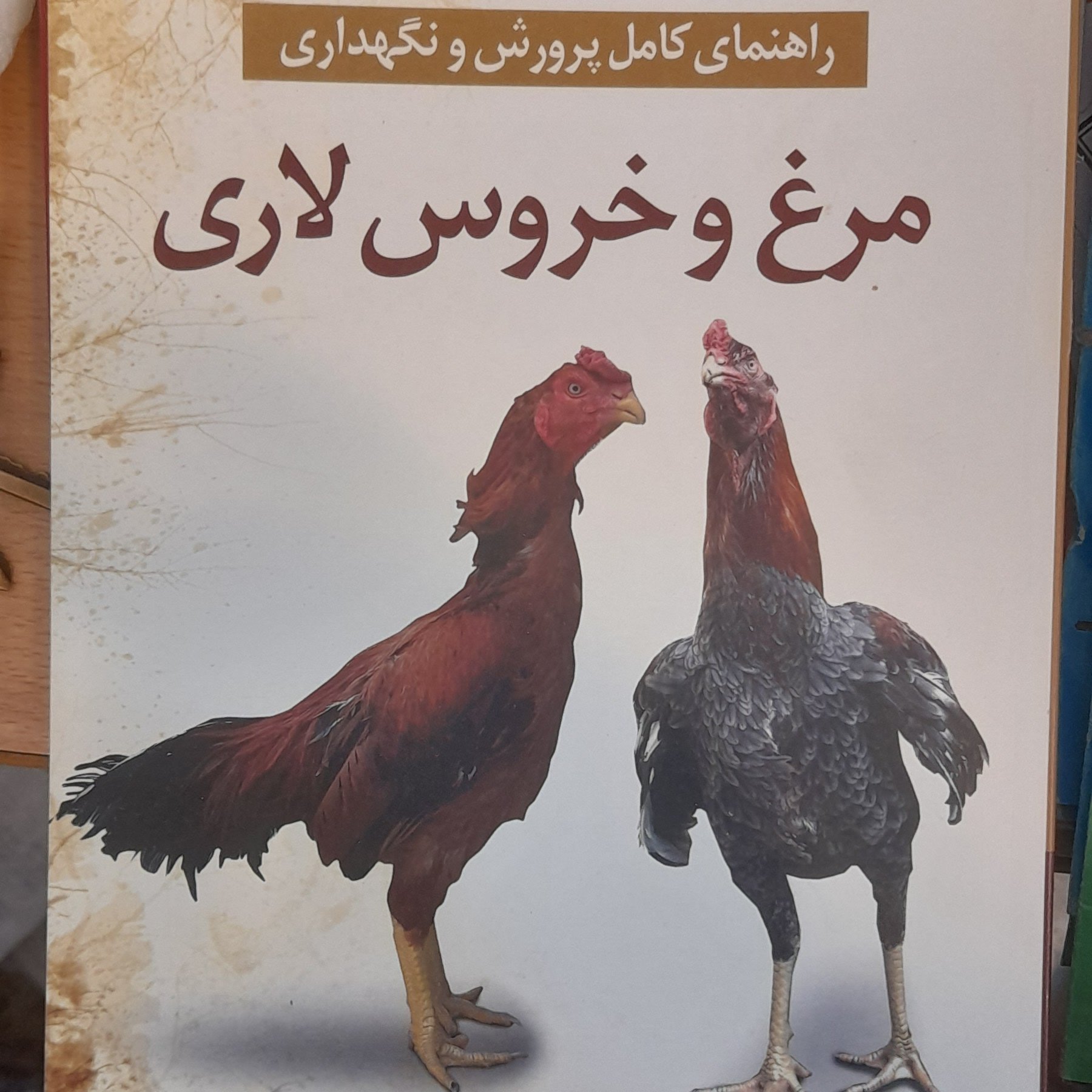 کتاب راهنمای کامل پرورش ونگهداری مرغ وخروس لاری