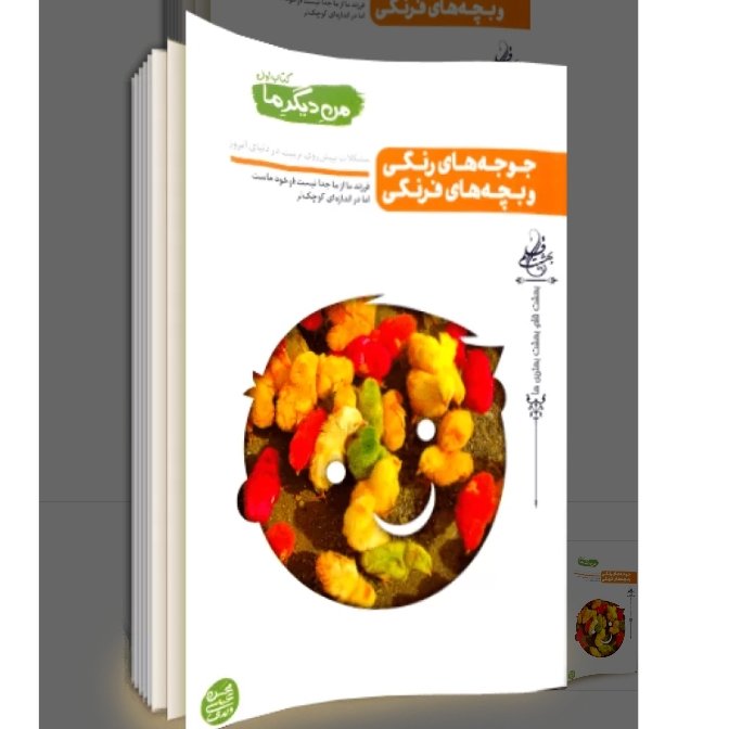 کتاب من دیگر ما جلد اول جوجه های رنگی و بچه های فرنگی به قلم محسن عباسی ولدی