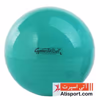 توپ لدراگوما Gymnastic Ball 65cm