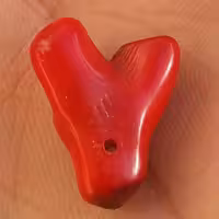 سنگ مرجان سرخ سوراخ دار مناسب آویز شااهکاار خلقت بی نظیییر