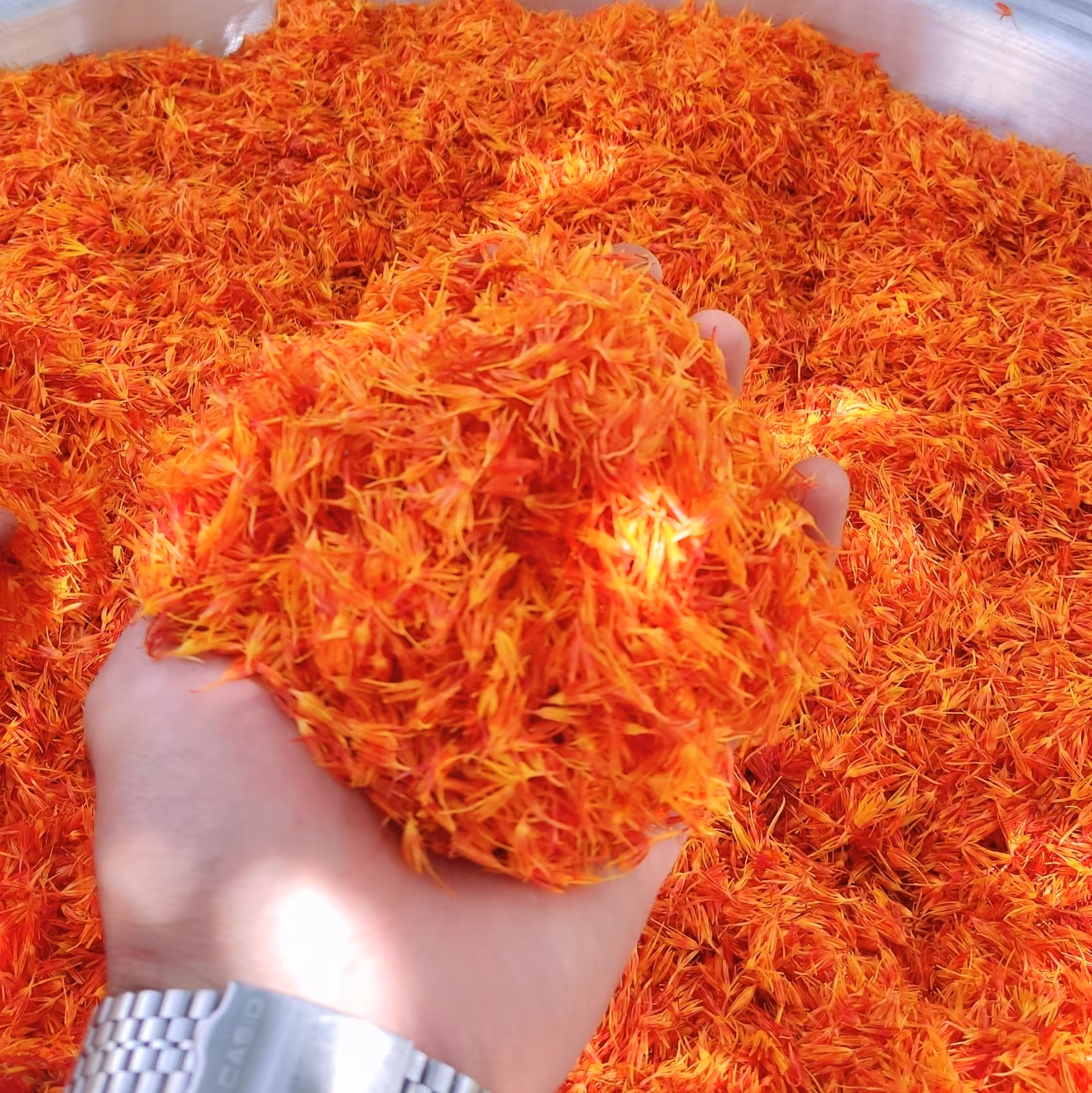 گلرنگ طبیعی-زعفران مصنوعی- رنگ غذا، امسالی خشک شده، تمیز ، - 200گرم