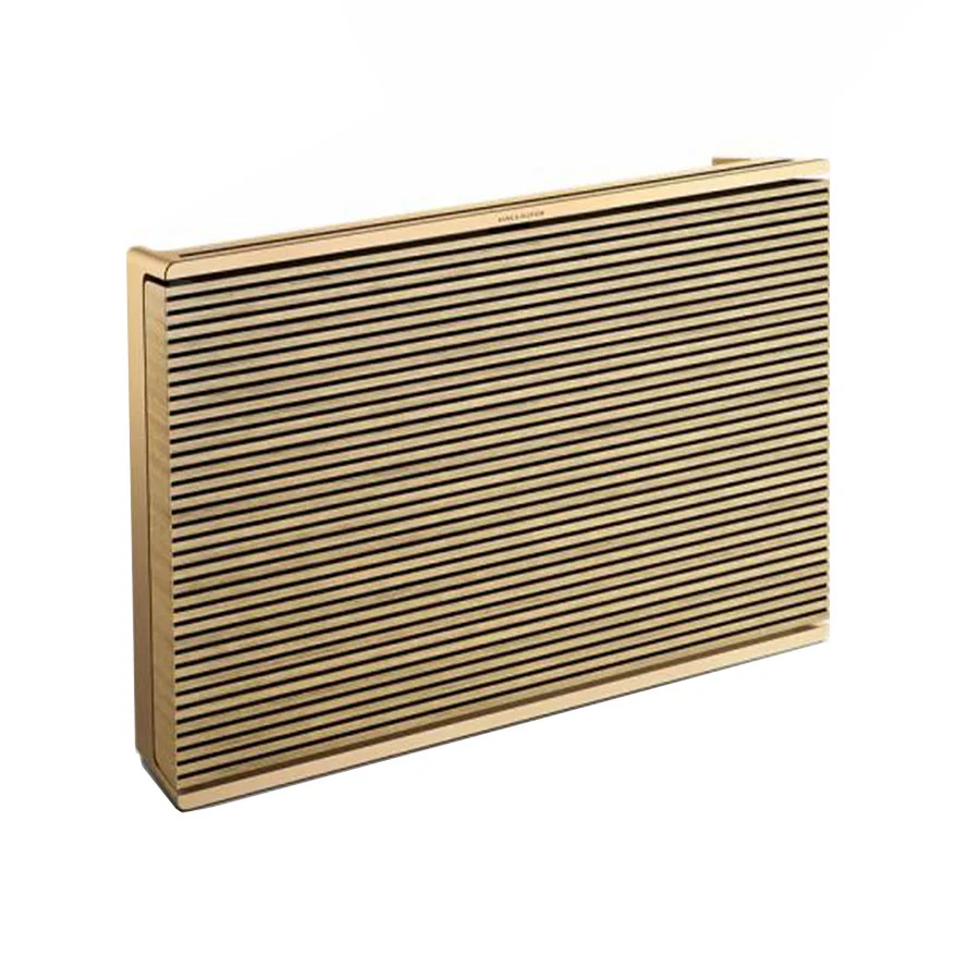 اسپیکر بلوتوث بنگ اند آلفسن BEOSOUND LEVEL