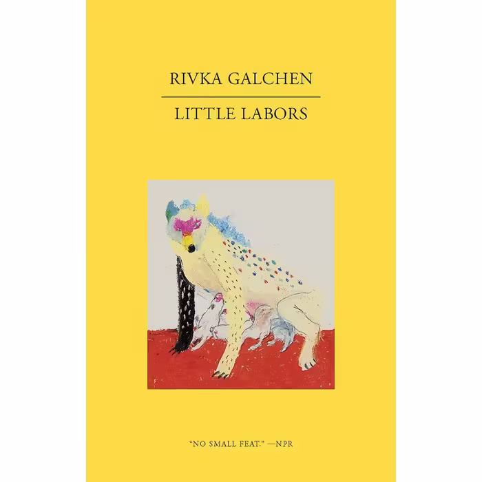 کتاب زبان اصلی Little Labors اثر Rivka Galchen انتشارات New Directions