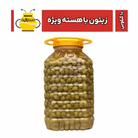 زیتون کنسروی باهسته ویژه (متوسط) پت 10 کیلویی (ارسال با اتوبوس)