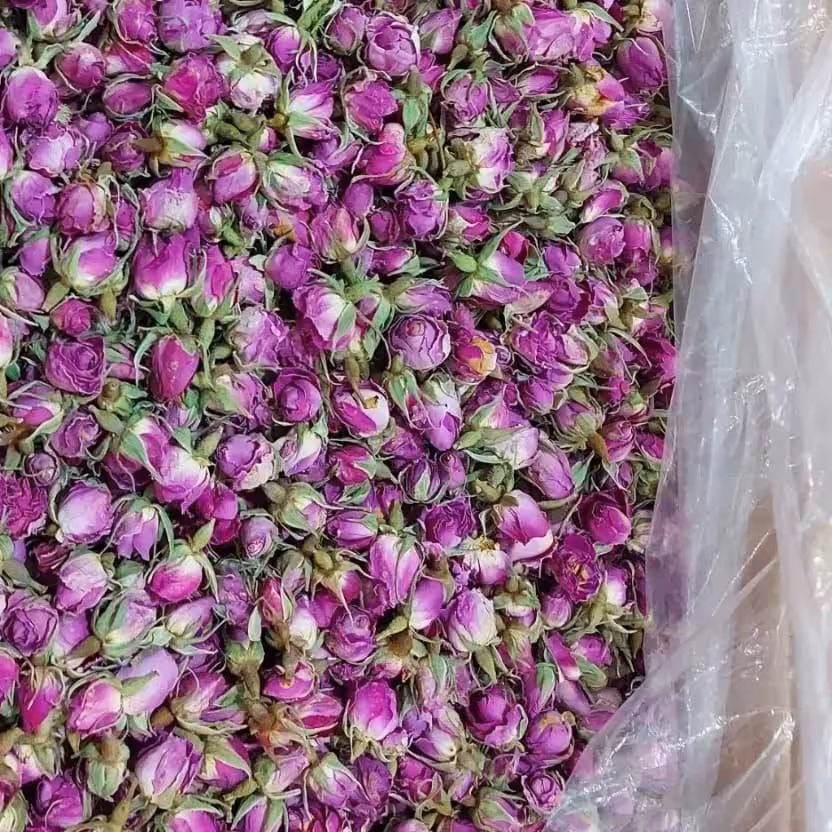 غنچه گل محمدی
خوش طعم و خوش رنگ