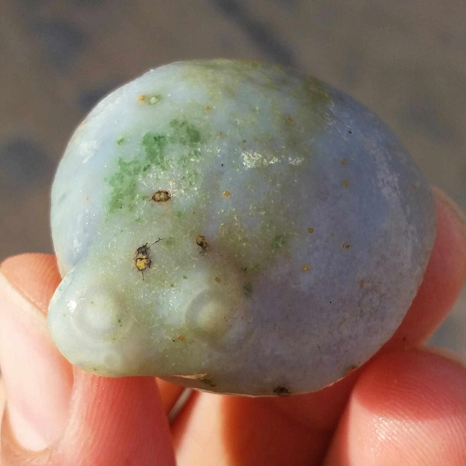 سنگ راف خام عقیق باباقوری برش نخورده 100 در 100 طبیعی سرشار از خواص شاهکار خلقت
تصویر از چند طرف نمونه کد 9070