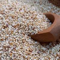 کنجد سفید تنوری محلی  ارگانیک