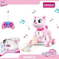 گربه کنترلی