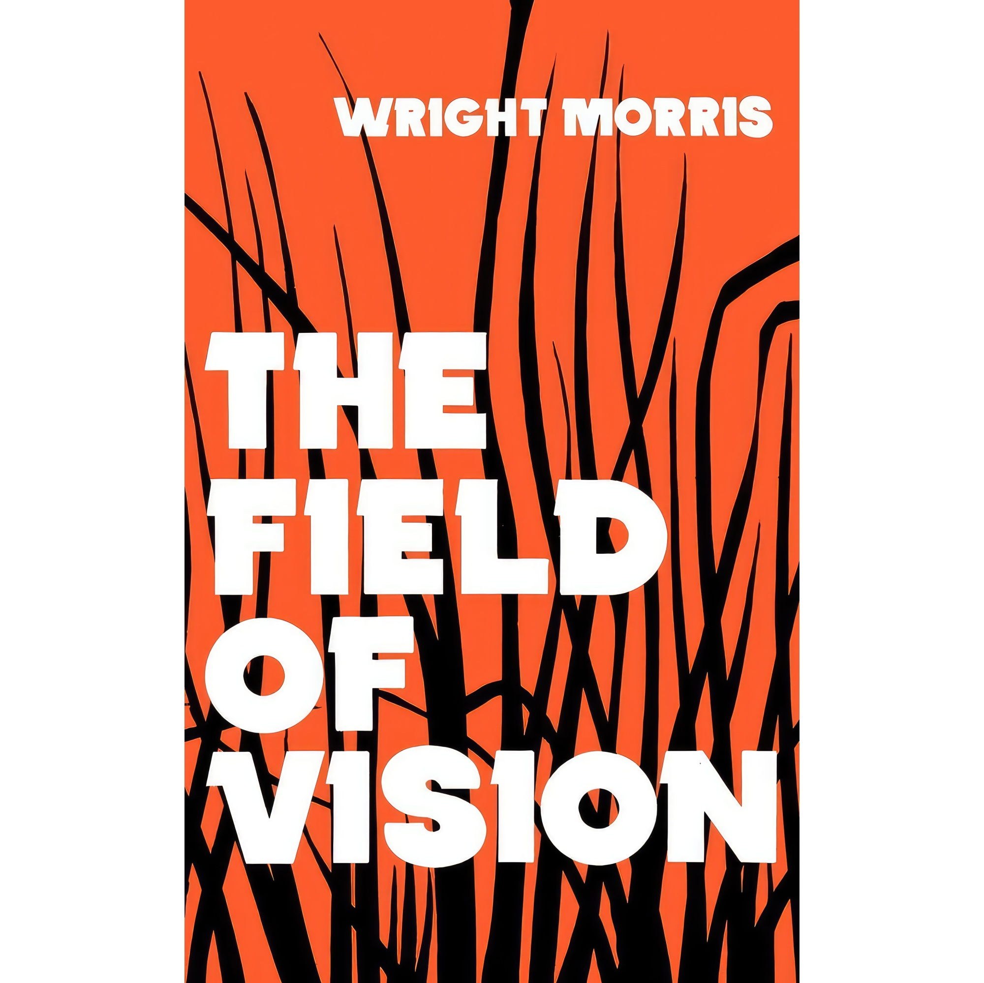 کتاب زبان اصلی The Field of Vision Bison Book S اثر Wright Morris