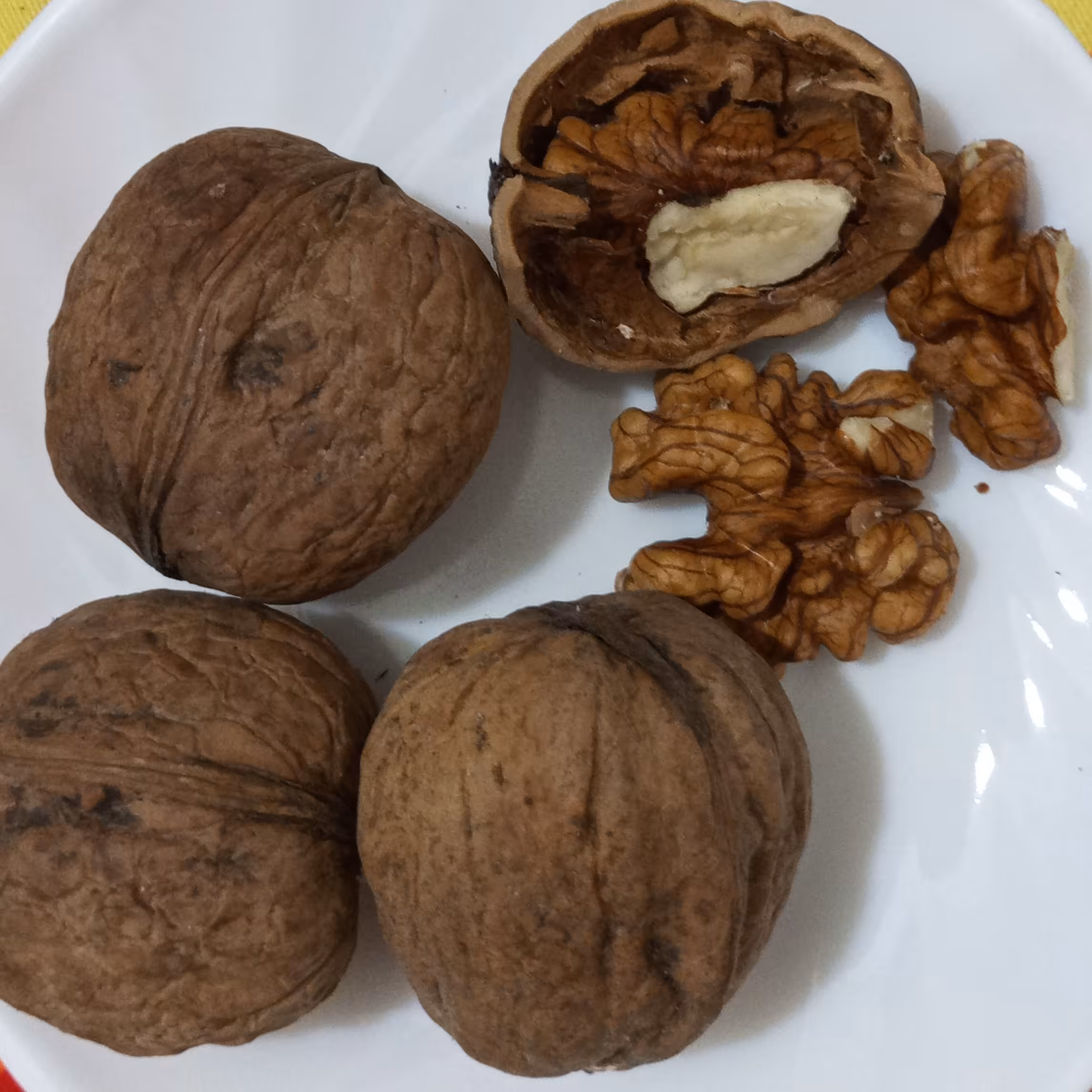 10 کیلو گردو عمده گیلان