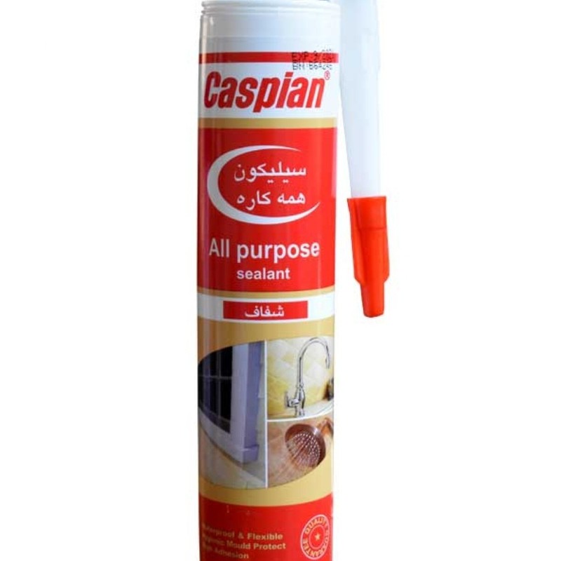 چسب آکواریوم شفاف و سفید 300 گرمی کاسپین تاریخ جدید