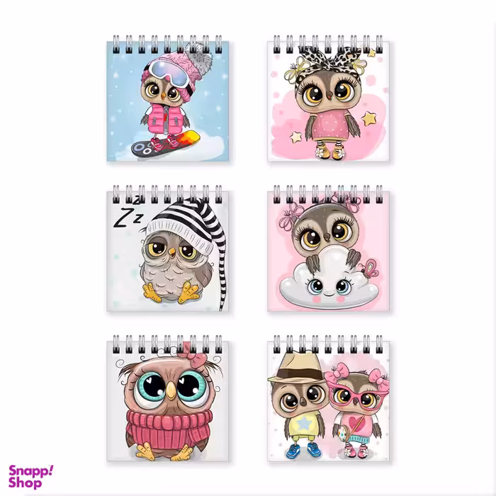 دفترچه یادداشت بامبیلیپ طرح جغد فانتزی کد 41083396 مجموعه 6 عددی