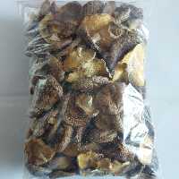 قارچ شیتاکه (اصل) 500 گرمی