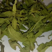 بادرنجبویه 50 گرمی (خشک)