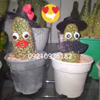 کلاه شاپو و سیبیل تزیینی کاکتوس
