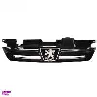 جلو پنجره مدل P20 مناسب برای پژو پارس