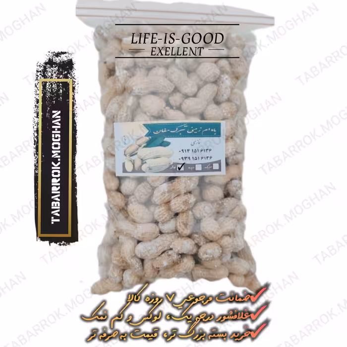 بادام زمینی غلاف شور کم نمک تبرک مغان لوکس و درجه یک 800 گرمی غلافشور  بادام شور ، با غلاف