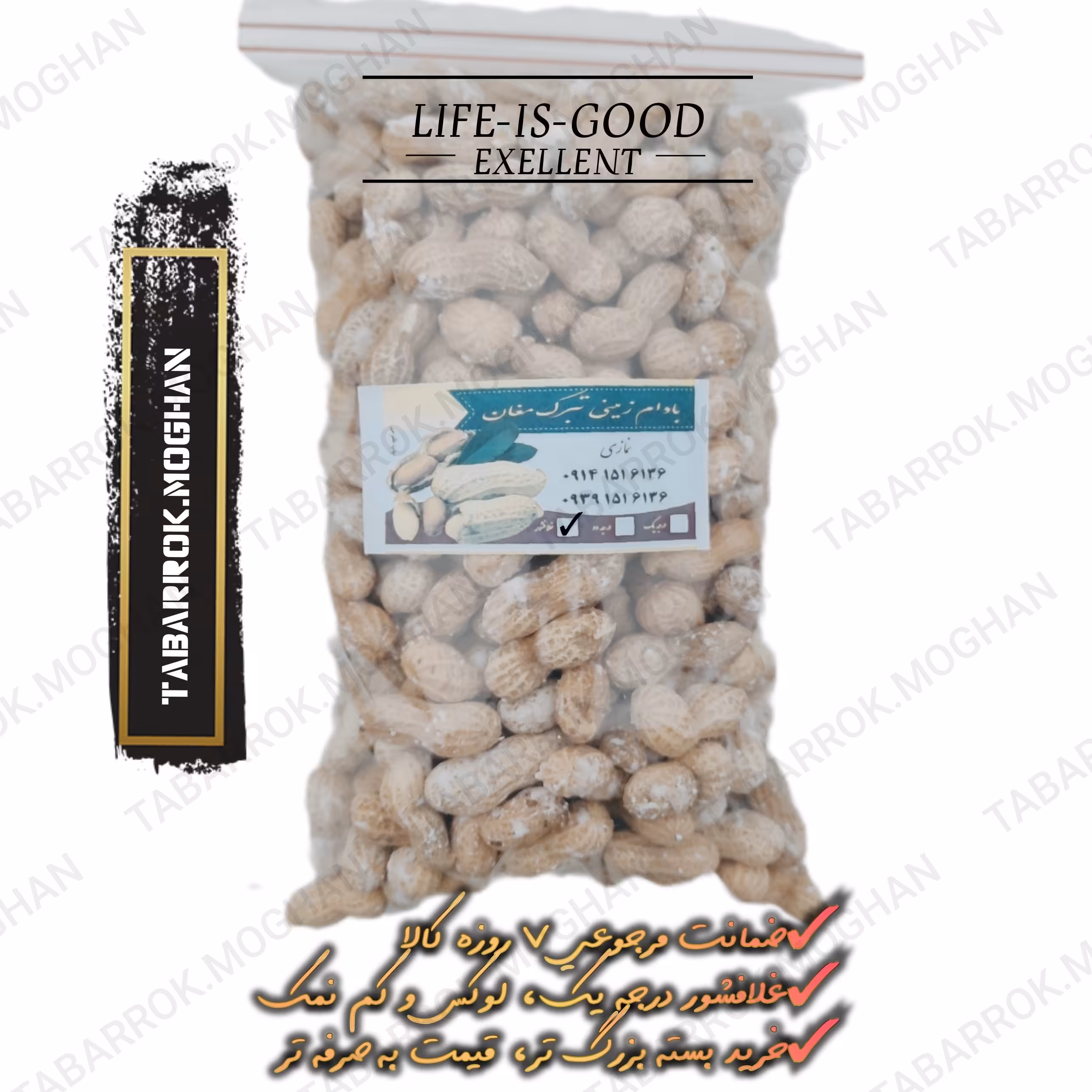 بادام زمینی غلاف شور کم نمک تبرک مغان لوکس و درجه یک 800 گرمی غلافشور  بادام شور ، با غلاف