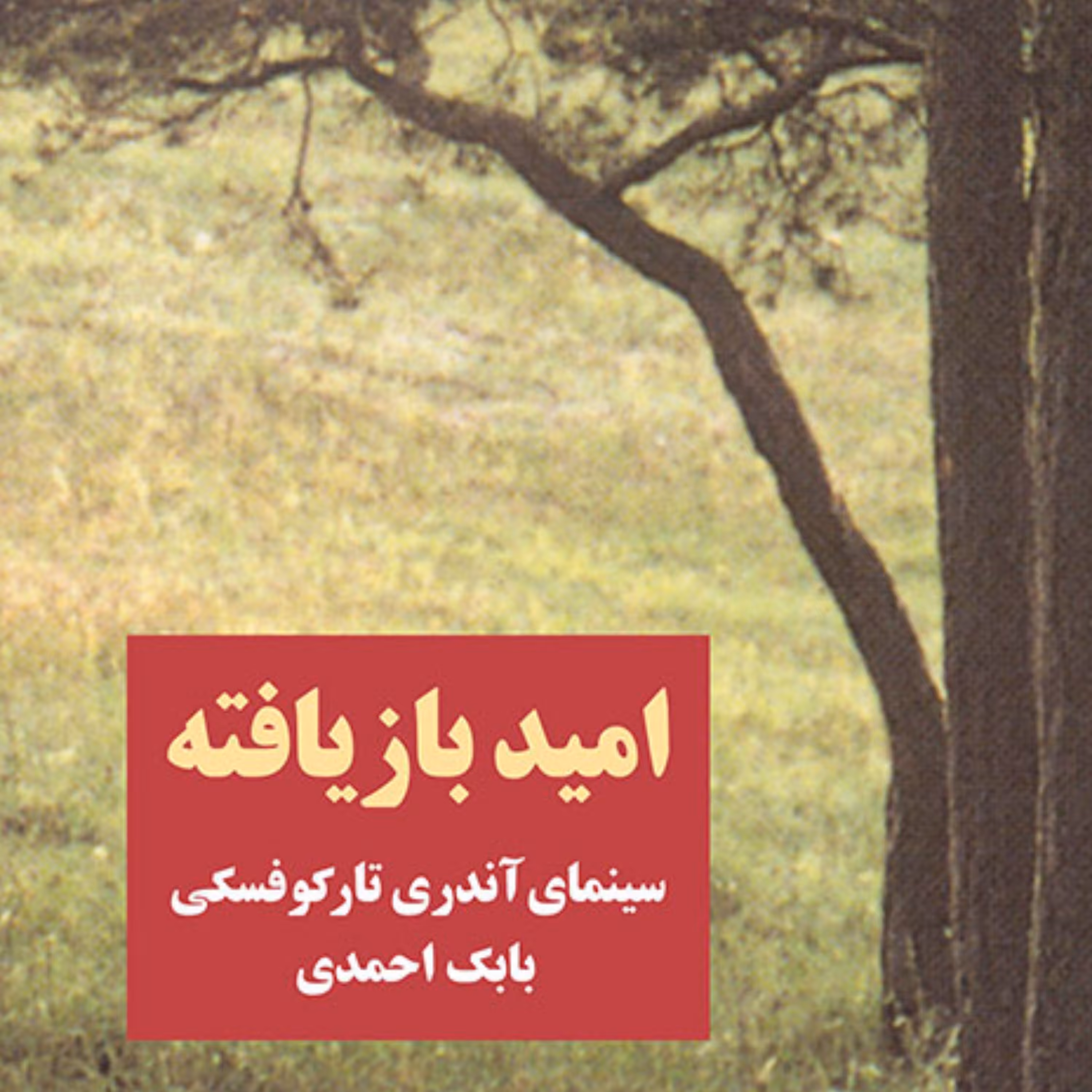 امید بازیافته  سینمای آندری تارکوفسکی   بابک احمدی نشر مرکز