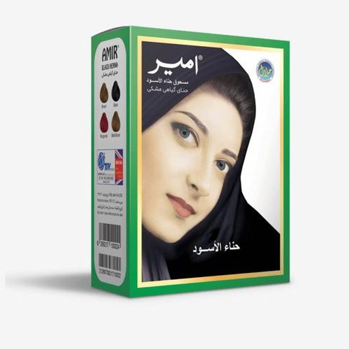 حنا امیر ایرانی