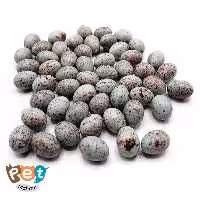 تخم مصنوعی قناری و سایر پرنده مناسب تحریک پرنده ها به تخمگذاری بسته 5 عددی