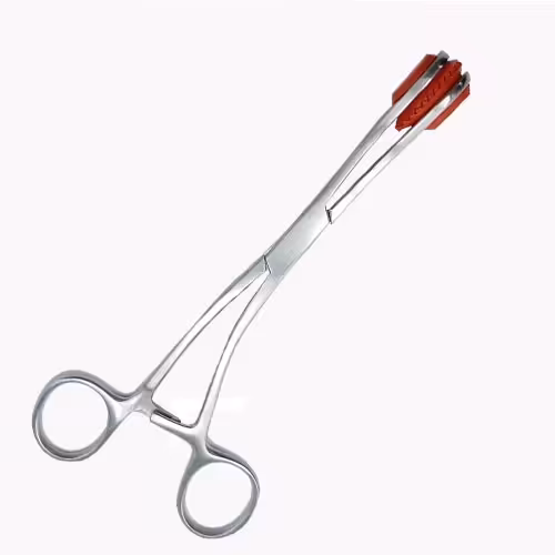 پنس زبانگیر