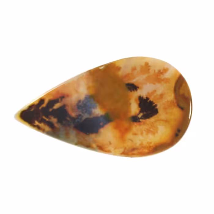 عقیق شجر code 5054
