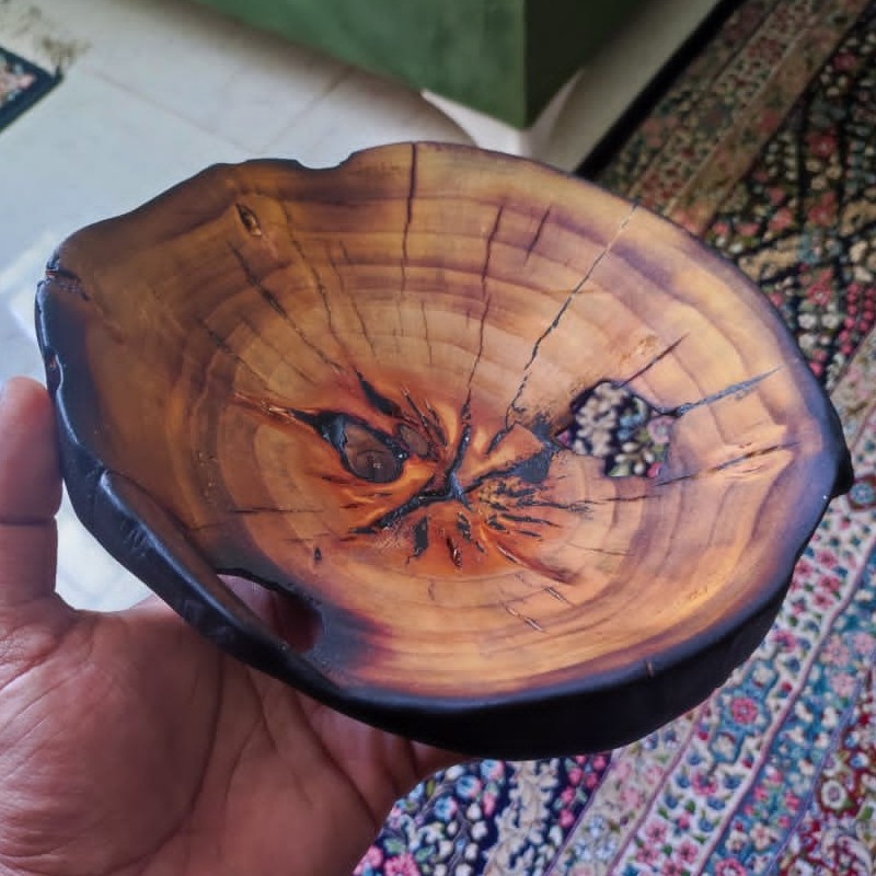 ظرف سرو و پذیرایی