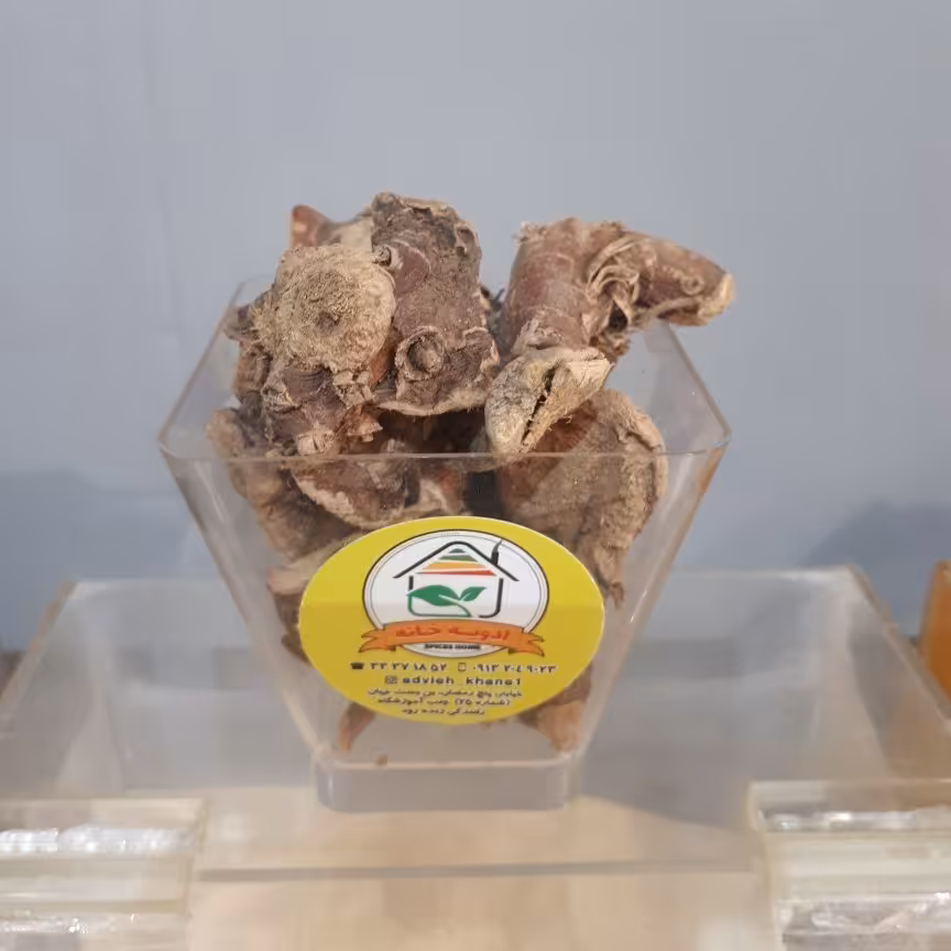 ریشه خسرودار(پودر و قلم )