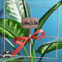 پک 50 عددی تاپر سال نو مبارک پیکسل ساز - ابعاد 3در2 سانت - جنس چوبی - مناسب برای هدیه و گیفت